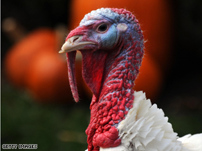 art.turkey.face.jpg