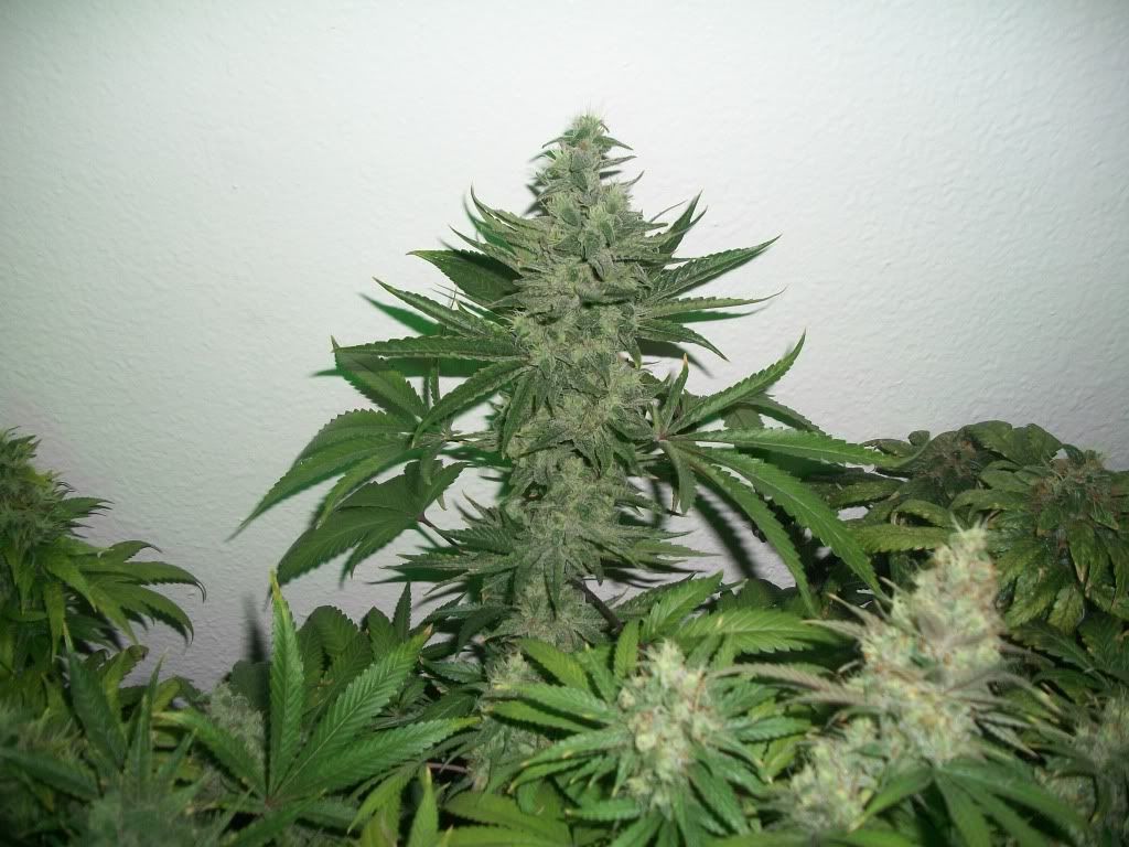 11-02-11005.jpg