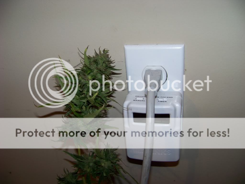 TNR5-outdoor.jpg