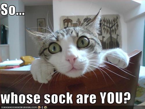 so-whose-sock-are-you