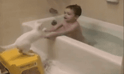 gif_04.gif