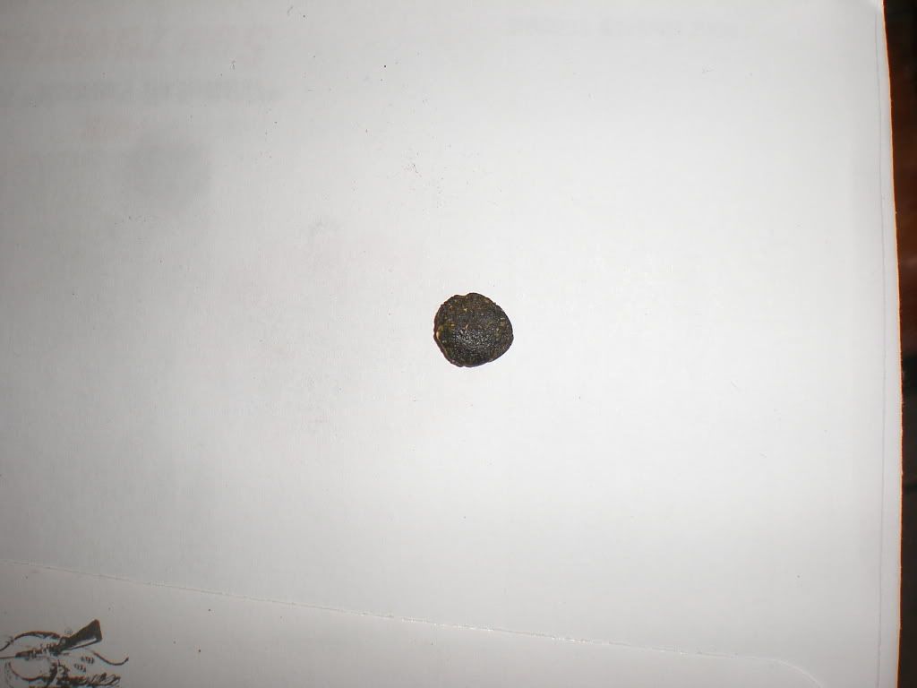 P4040031.jpg