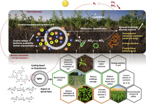 www.sciencedirect.com