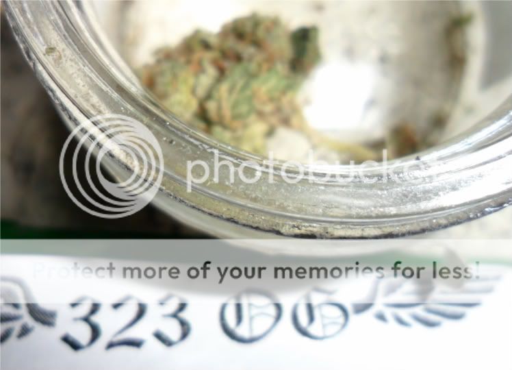 SAM_4532.jpg