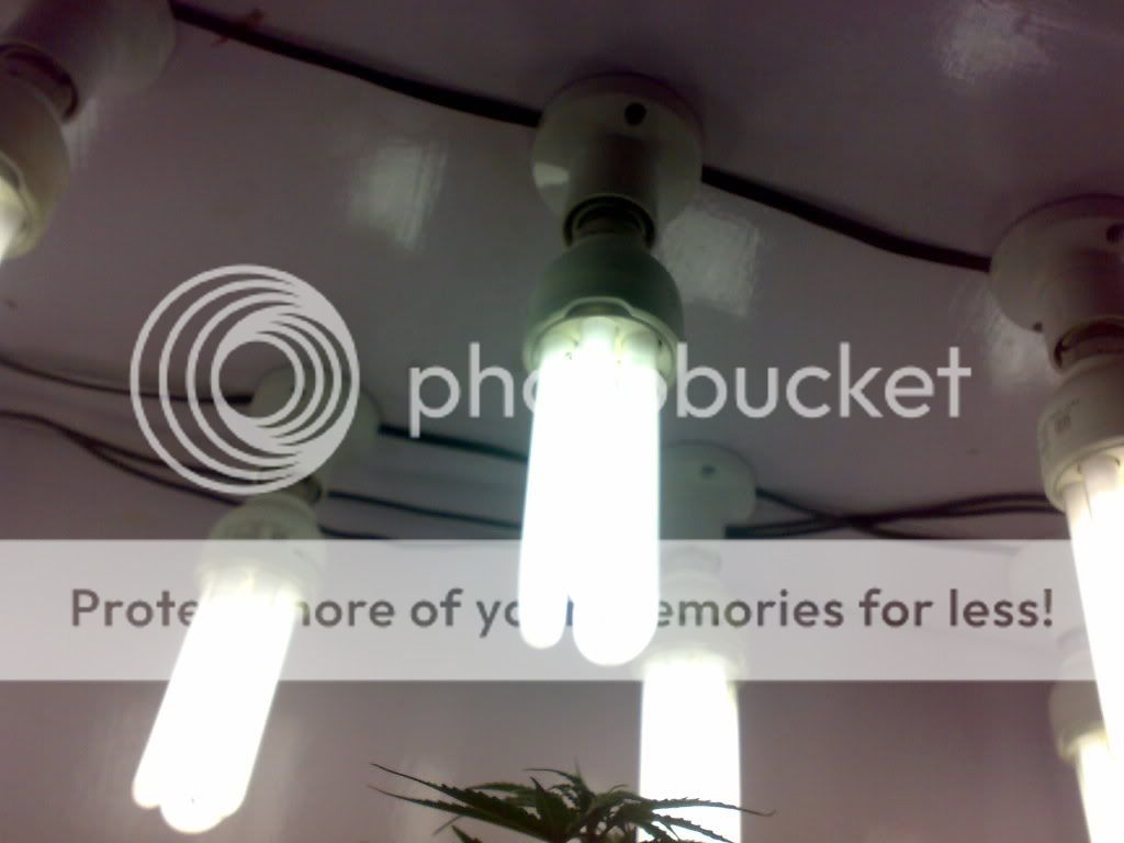 03012009320.jpg