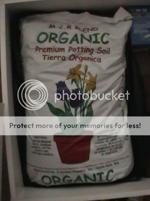 soil.jpg