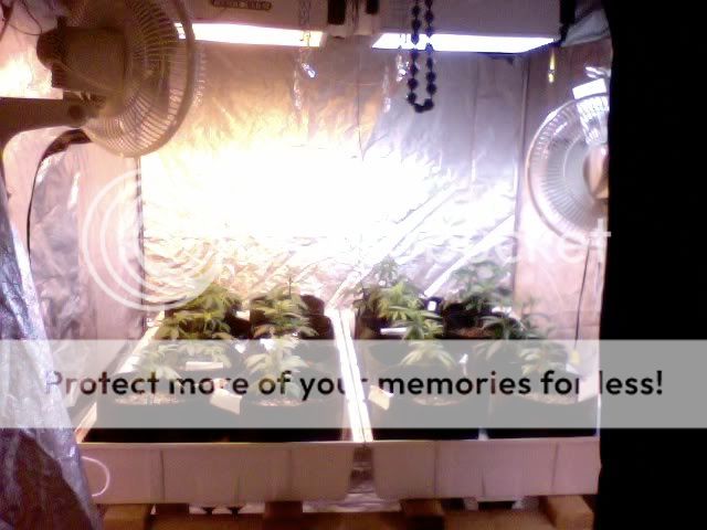 Photo61.jpg