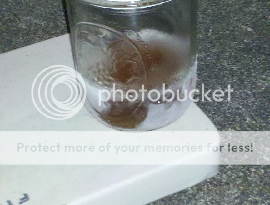 2011-08-25_22-35-04_667.jpg