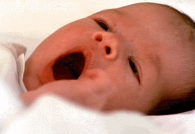 yawner-1.gif
