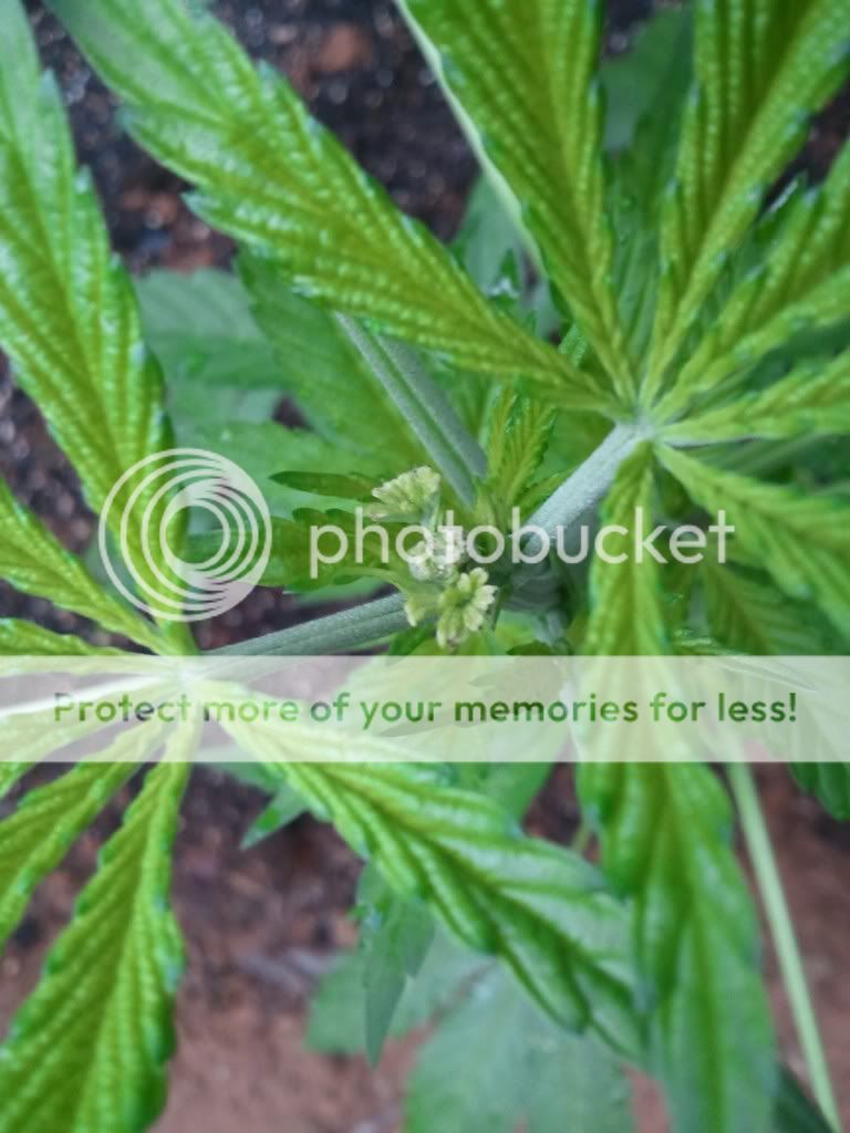 WP_000176.jpg