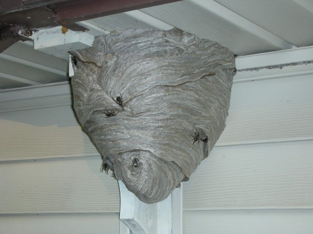DSCN2932.jpg