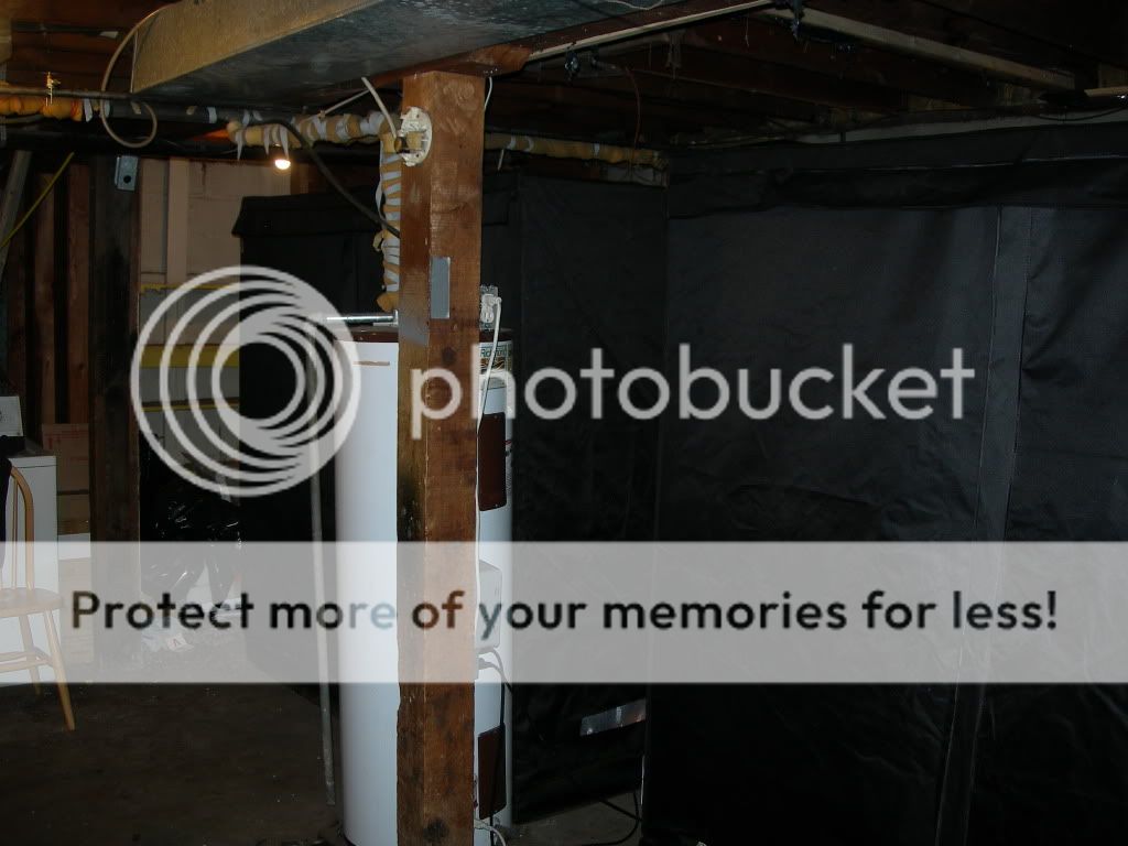 DSCN7858.jpg