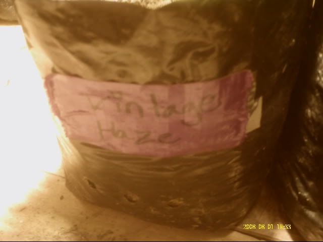 PICT0035.jpg