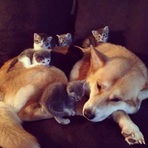 acid_picdump_72.jpg