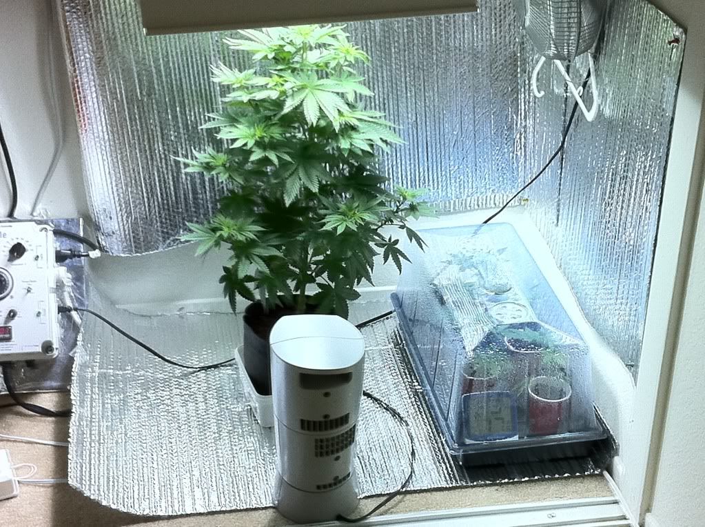 8-9-11.jpg