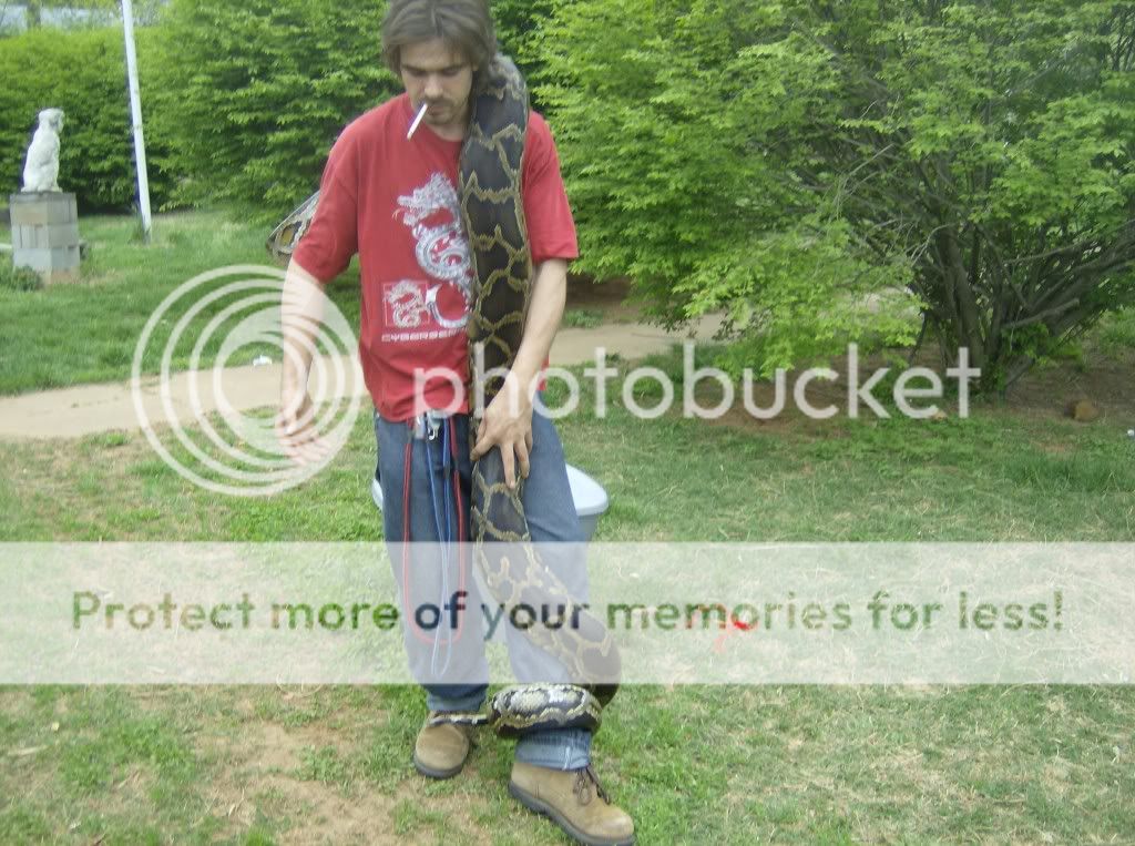 Picture107.jpg