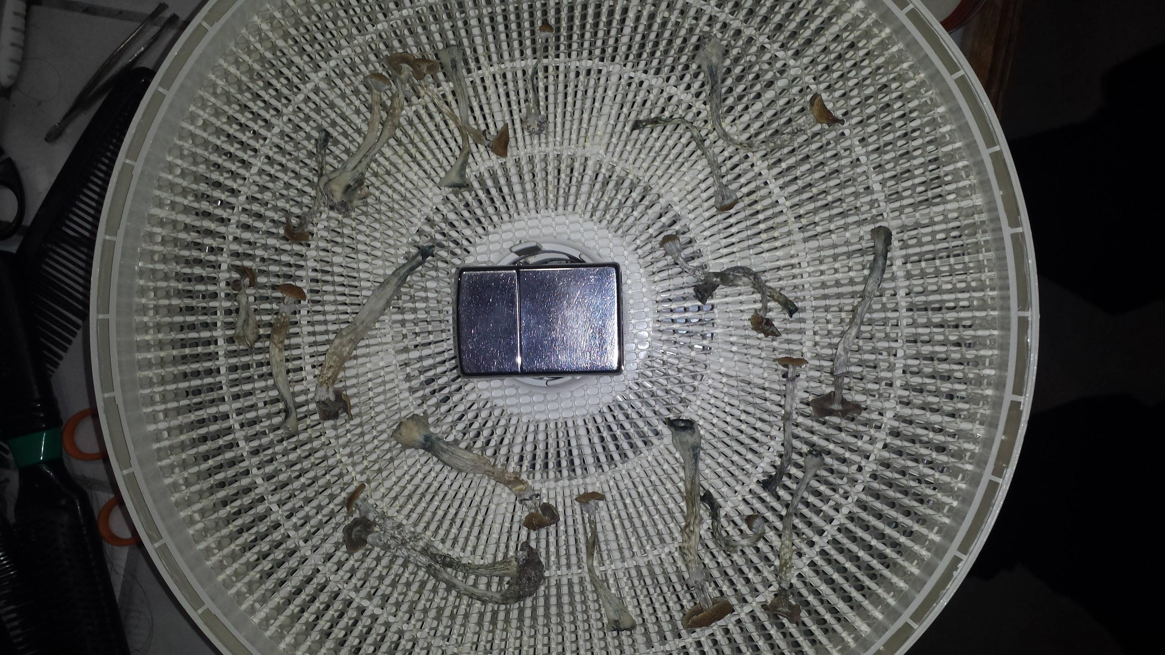 D6PunGP.jpg