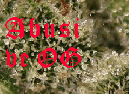 IMG_5459xPScrop-1-1.gif