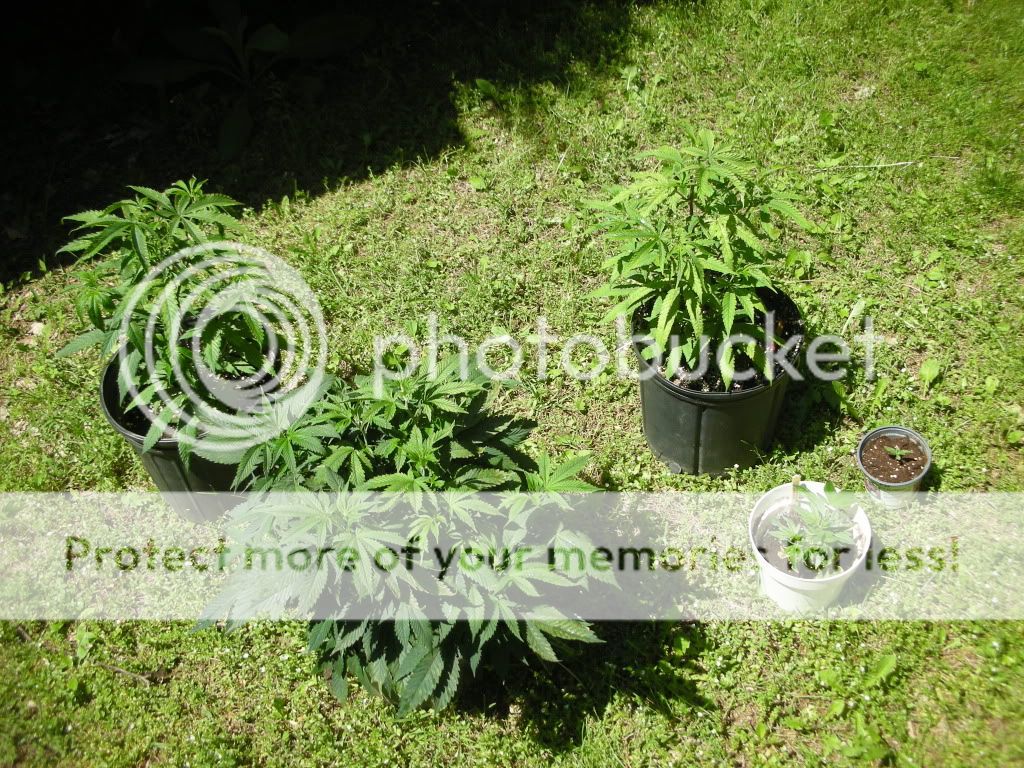 DSCN2620.jpg