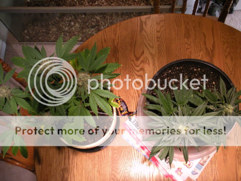 DSCN1045.jpg