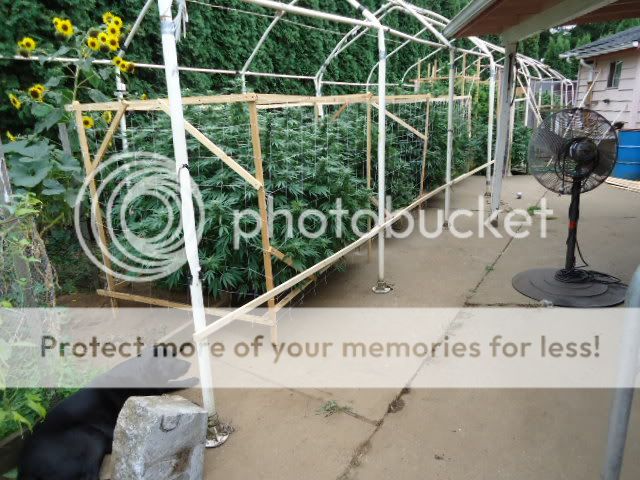 DSC06234.jpg