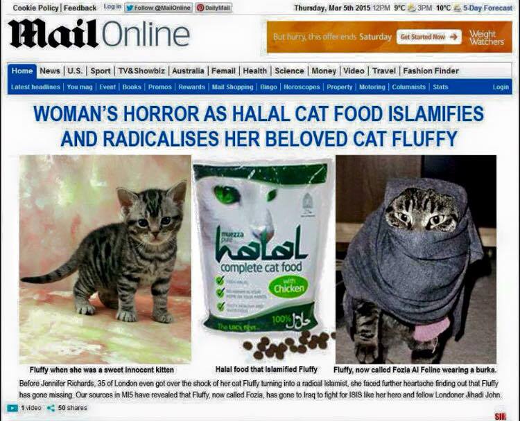 muslim-cat.jpg