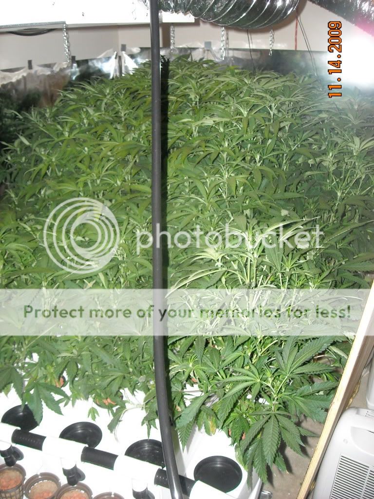 DSCN0386.jpg