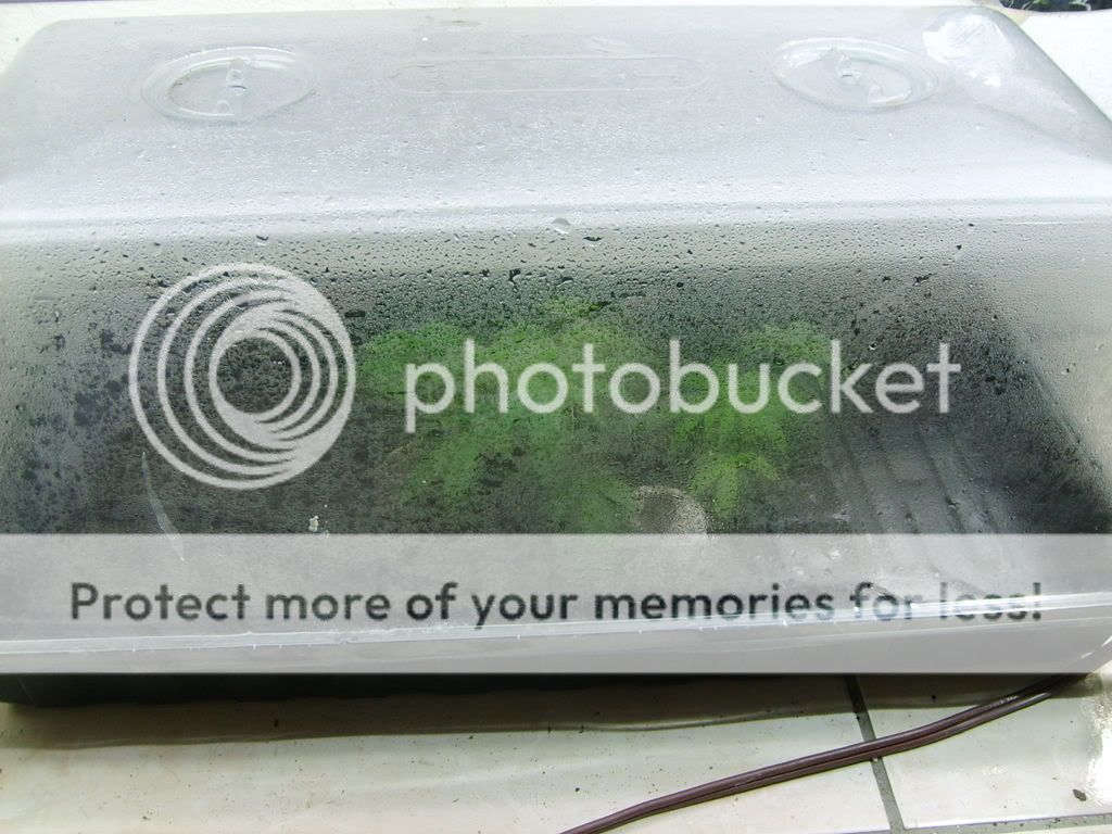 S5000166.jpg