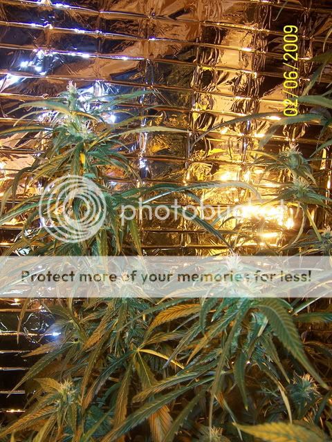 100_1275.jpg
