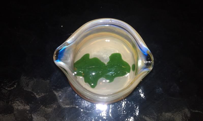 IMAG0333.jpg
