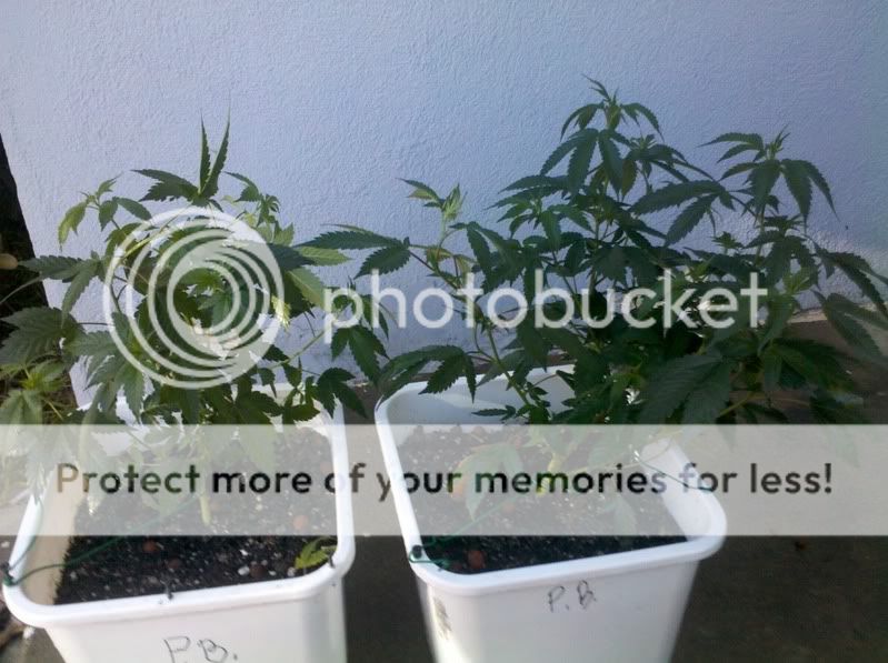 2011-08-23_13-30-07_39.jpg