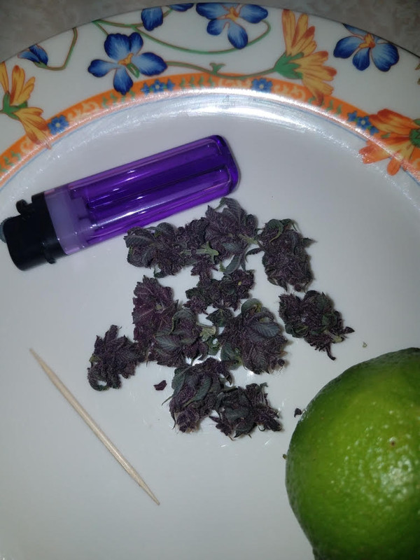 purp1.jpg