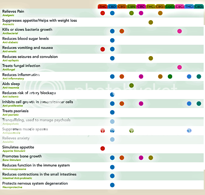 cannabinoid_chart_large-1.png