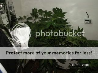 PICT0419.jpg