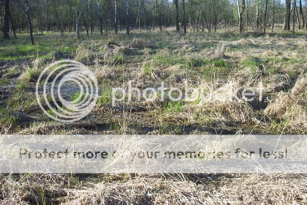 coldframe009.jpg