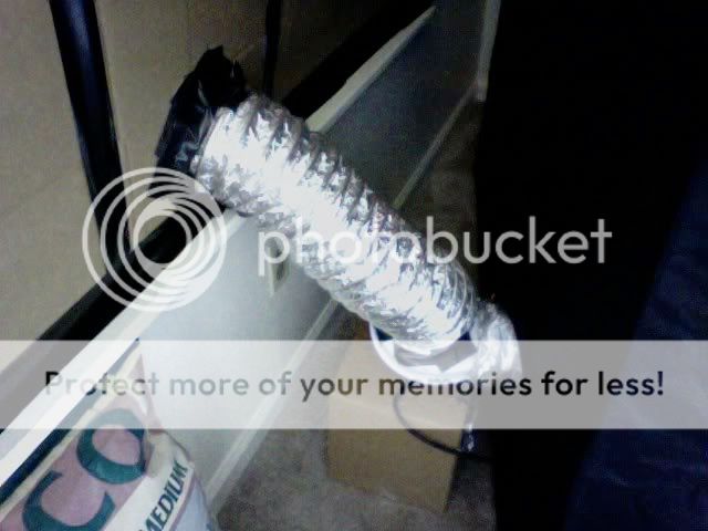 Photo13.jpg
