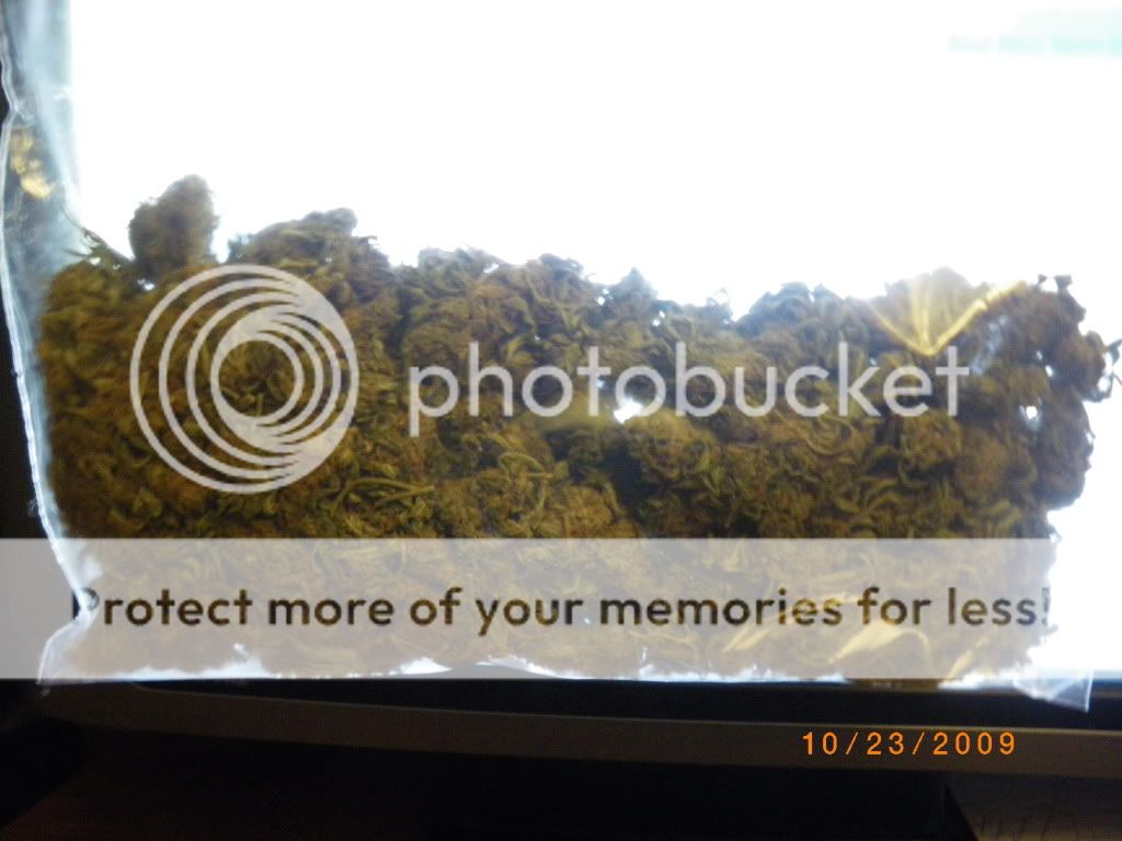 IMGP0149.jpg