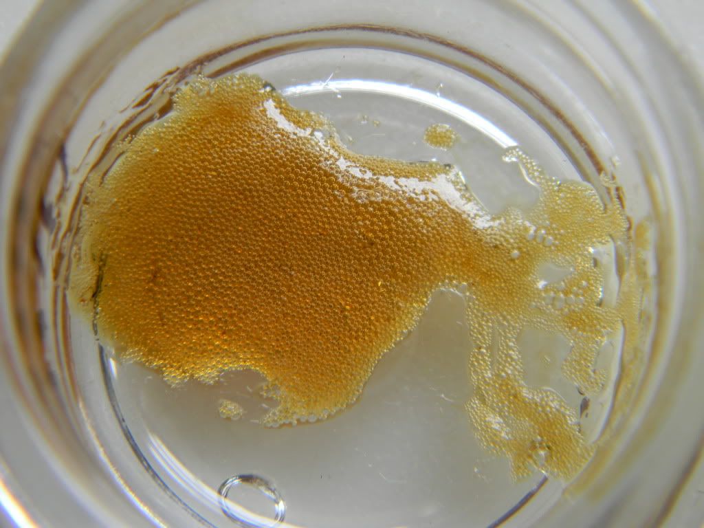 DSCN1047.jpg