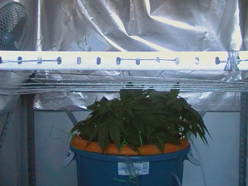CAM_0190.jpg