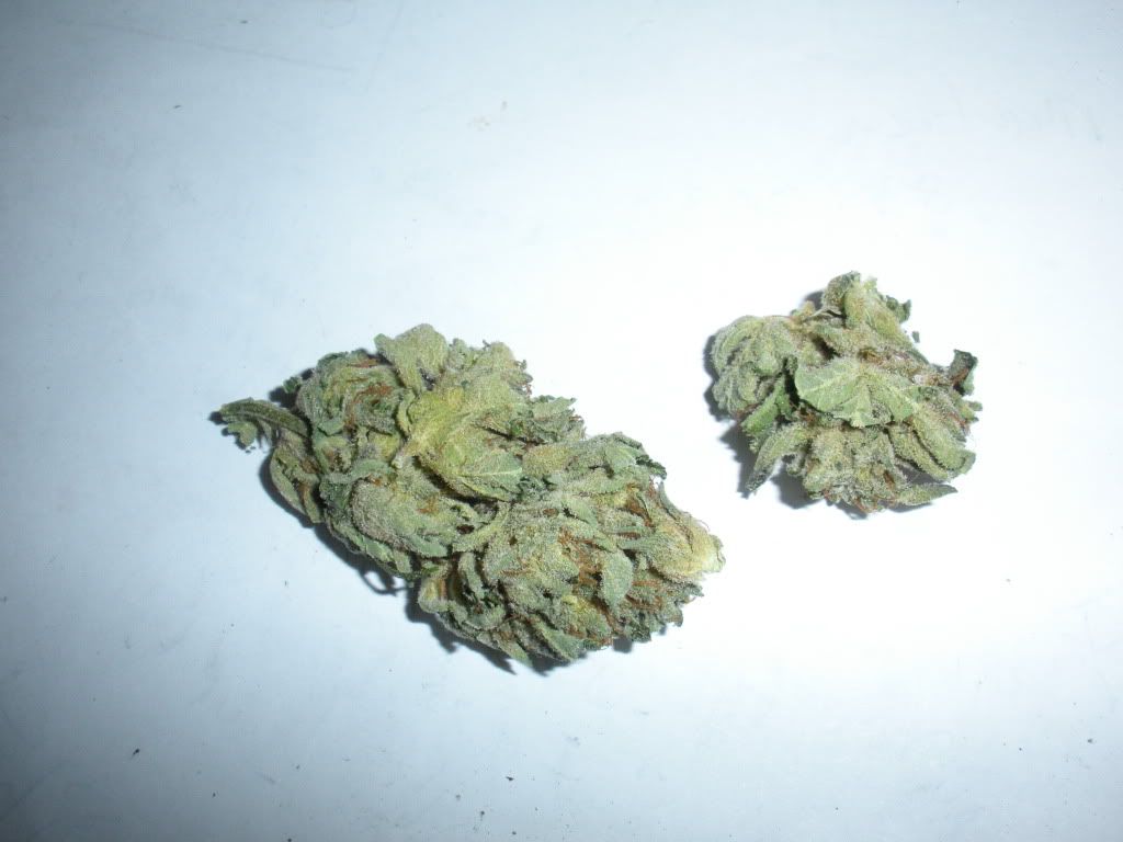 DSCN0930.jpg