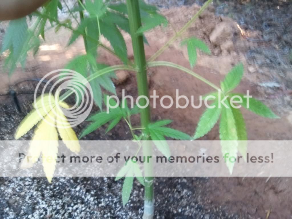 WP_000228.jpg