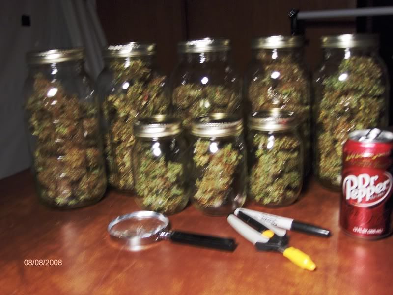 readytocure009.jpg