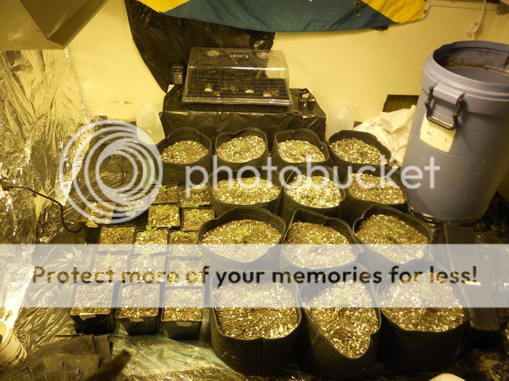 DSCN5304.jpg