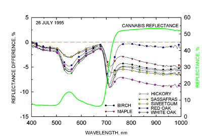 Cannabis_reflection.jpg