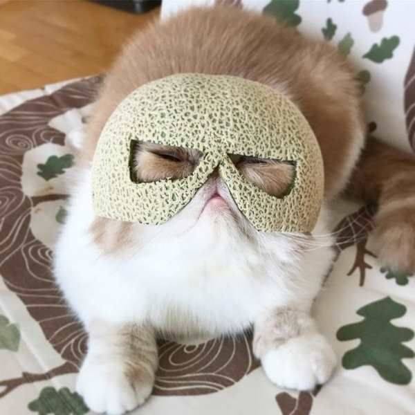acid_picdump_71.jpg