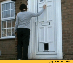 gif-prank-dog-650734.gif