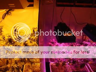 DSC04808.jpg