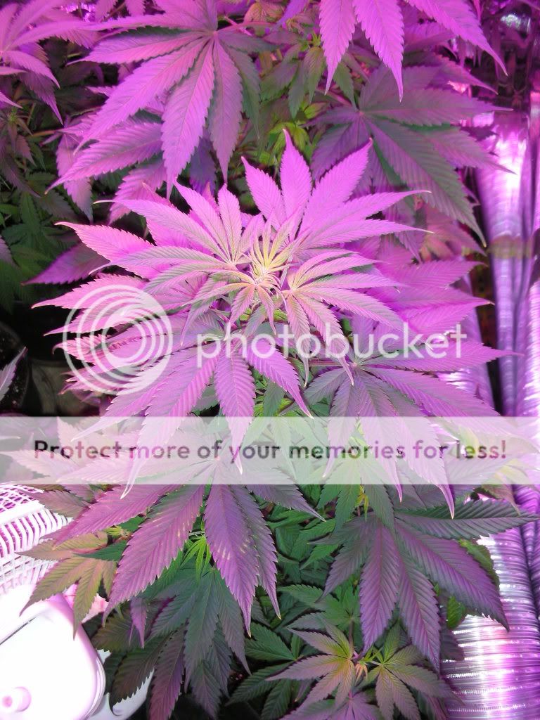 DSCN3361.jpg