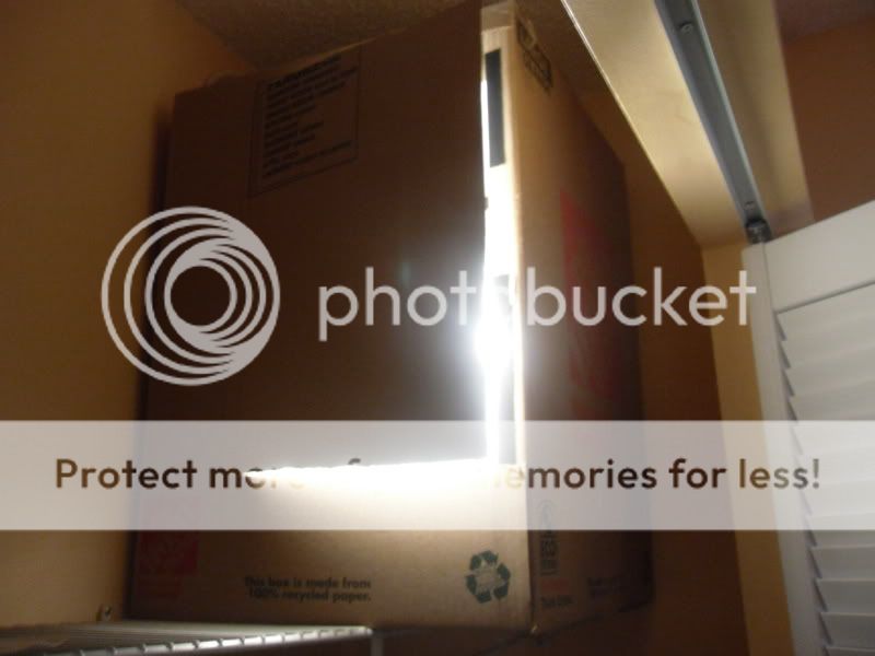 SDC10486.jpg