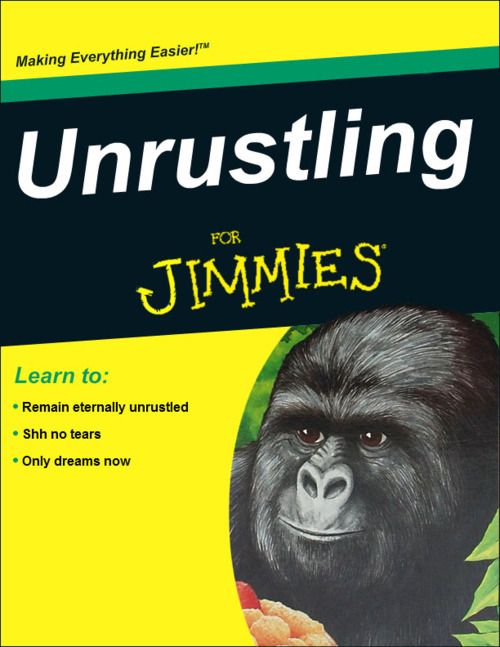 tumblr_mablsoGVnF1rskr4no1_500.jpg